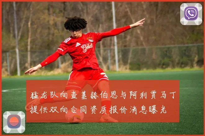 猛龙队向查基赫伯恩与阿利贾马丁提供双向合同资质报价消息曝光
